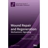 Wound Repair and Regeneration
