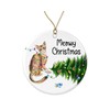 HTDesigns Abyssinian Cat Christmas Ornament - Funny Cats Ornaments -