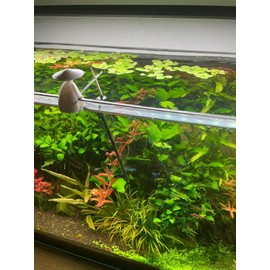 Lollies Holder The Fisherman - Aquarium Shrimp Food/Accessories