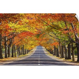 CANVAS ON DEMAND Memorial Avenue in Autumn, Mount Wall Decal, Tree Artwork