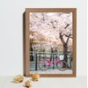 Picture Frame A4, Versatile A4 Picture Frame 21 x 29.7cm,