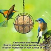 4 Pcs Fat Ball Bird Feeder, Metal Squirrel-Proof Hanging Bird
