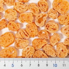 Gex Turtle Genki Turtle Feast Pan, Fish Flavor, 0.7 oz (20 g)