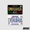 Card Stickers - Mexico Placas (Mexican License Plate) - For