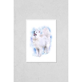 Watercolor closeup portrait of cute Samoyed breed dog isolated on blue background. Longhair fluffy white herdig dog. Hand drawn sweet home pet. reindeer herders dogs. Greeting card design. Clip art