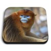1 x Square MDF Fridge Magnet - Adult Male Golden