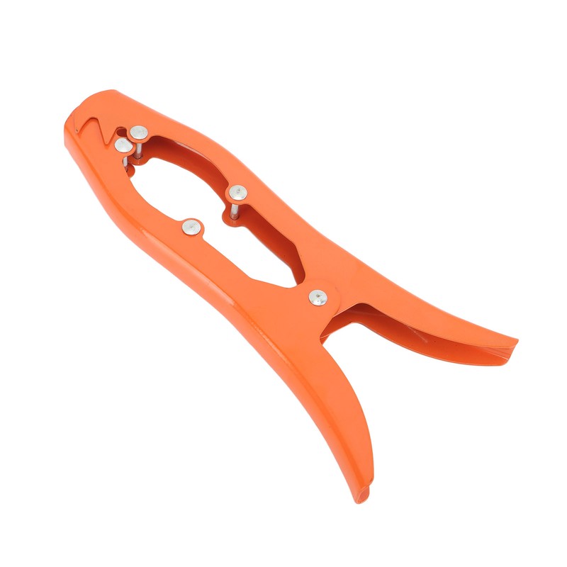 Grip Anchor Stainless Steel Toothed Claw Anchor Clamp Ship Accessory