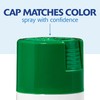 Rust-Oleum 249100 Painter's Touch 2X Ultra Cover Spray Paint, 12