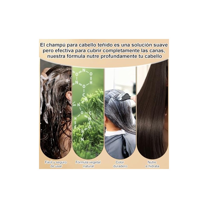 4 en 1 para Champú Colorante, Shampoo Tinte 500ml (Negro)