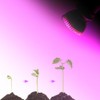Full Spectrum Led Grow Light High Efficiency Led Grow Light