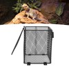 Reptile Lamp Cover Professional Prevents Scald Protective Reptile Heater Lamp
