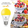 Dusk to Dawn LED Yellow Bug Light Bulb, 6W(40W Equivalent)