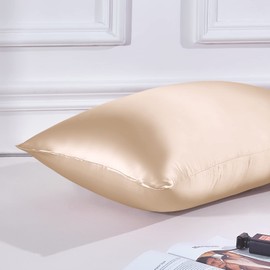 THXSILK 22 Momme Silk Pillowcase, 100% Silk Pillowcase Sofa Cushion Cover, Anti Mite Zip Silk Pillowcase, Champagne, 40 x 60 cm