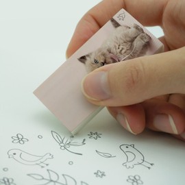 Miradoll Ragdoll Cat Kitten Pink Ribbon Bow Eraser Set of 2