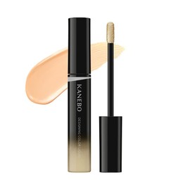 Kanebo 02 Designing Color Liquid: