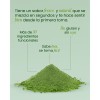 Greens Support Prebióticos Y Enzimas Digestivas 30 Ingredi Sabor Na