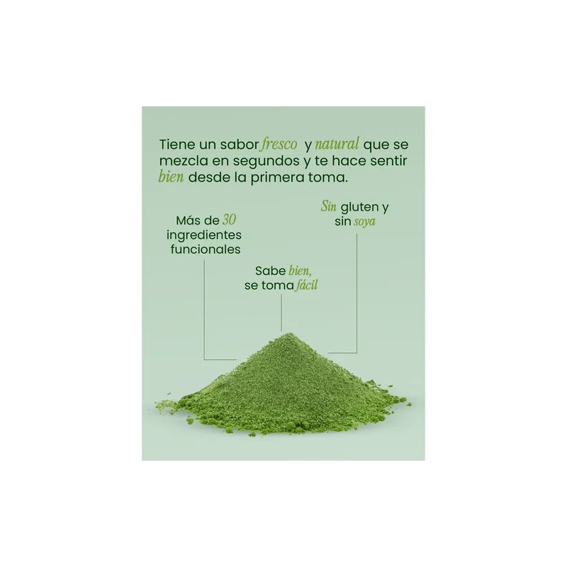 Greens Support Prebióticos Y Enzimas Digestivas 30 Ingredi Sabor Na