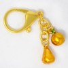 Isui Feng Shui Good Luck Amulet Key Chain Money Luck