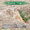 Qualirey 2 Pcs Outdoor Gopher Trap Easy Set Mole Trap