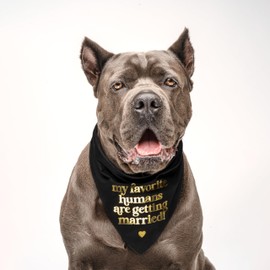 My Favorite Humans are Getting Married Metallic Printed Dog Bandana | 100% Cotton Adjustable Triangle | Wedding Photo Prop | Bridal Shower | Engagement Announcement |Black, Rose Foil (1316)
