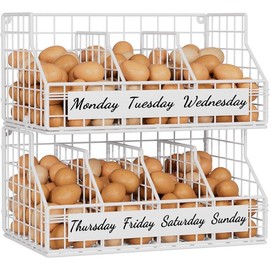 Egg Holder Countertop with 5 Dividers & Labels, 2 Tier Stackable Chicken Egg Baskets for Gathering Fresh Eggs, Egg Organizer for Countertop/Wall-Mounted, Black - Color: White, Size: 1-Tier（with DIY labels）