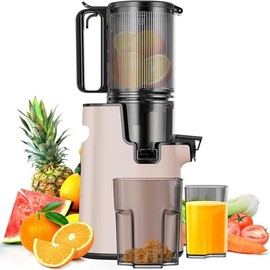 LQZ 350W Cold Press Masticating Juicer with 5.3-Inch Feed Chute, Blade-less Design, 50 RPM Slow Grinding Technology, 99% Juice Yield, Easy to Clean - Color: Pink