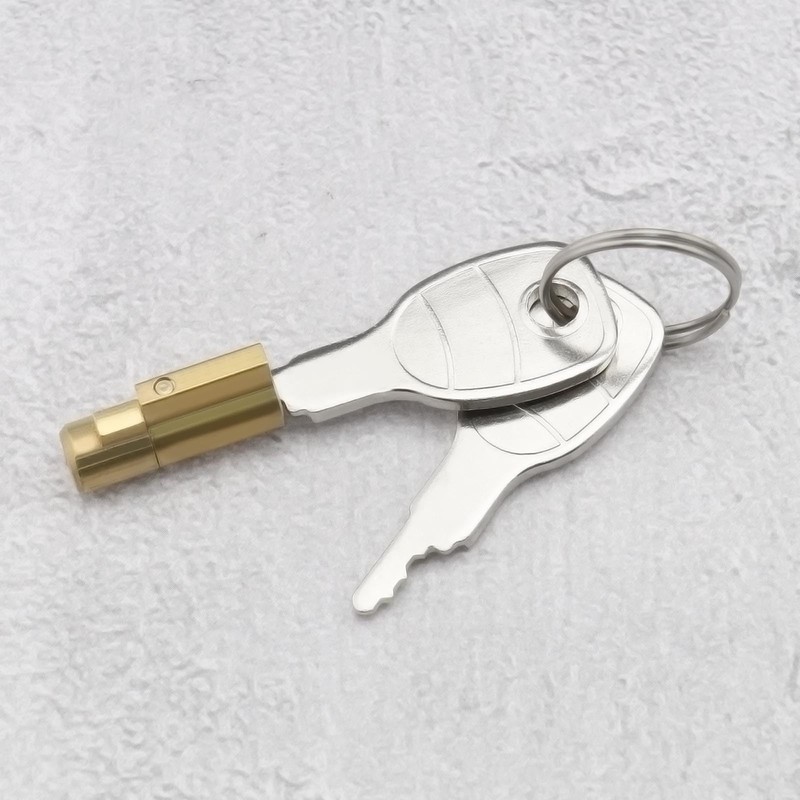Pack of 2 Tow Bar Lock with 4 Replacement Keys