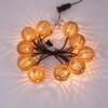 Decorative String Lights Plug in with 10 Incandescent Bulbs, Natural