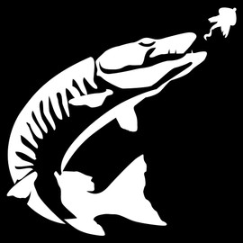 Express Yourself Tiger Muskie Wall Decal (White -Facing as Shown- Medium) - Freshwater Fish Collection