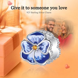 Rimgoris 925 Sterling Silver Charm for Women Bracelets Necklace Four Leaf Clover Cow Hoof Pansy Flower Purple Petal Clips Family Tree Colourful Gemstones Dangle Charm Gift, Silver, Cubic Zirconia