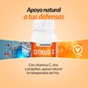 Suplemento Citrus C