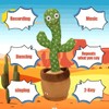 Dancing Cactus Toys,Talking Mimicking Singing Repeats What You Say:_Dancing cactus