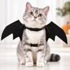 Black Bat Wings Pet Costume for Cats & Dogs –
