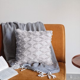 Pagnanno. Set of 2 Soft Velvet Cushion Covers 45x45cm(18x18 Inches) Fluff Throw Pillowcases Square Cushion Covers for Chairs,living room,bedroom with Invisible Zipper (18"x18" (Pack of 2), Light Grey)