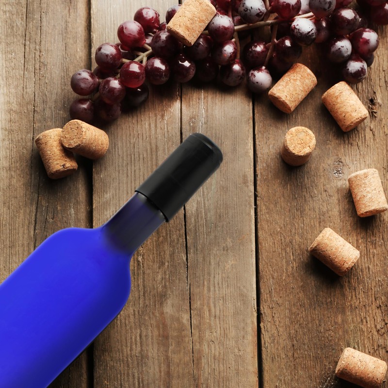 Cornucopia Brands Plastic Wine Bottles (10-Pack, Blue); Empty PLASTIC Bordeaux-Style