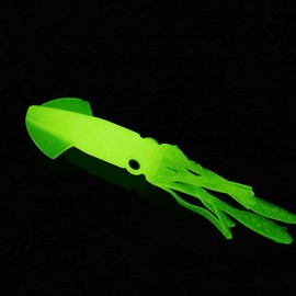 Fishing Squid Skirts Luminous Bait 5 Pack Plastic Glow in the Dark Luminous Squid Lures Fishing Trolling Device for Bass Salmon Trout (Luminous Squid)