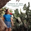 Crema Facial Nopal Natural Con Vitamina E Para Piel Grasa
