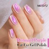 Double Rhythm 0.5 Oz Cat Eye Gel Polish with Magnet
