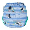 Pop in Nappy with Press Stud - Blue