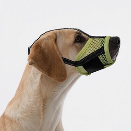 JOYPAWS Dog Muzzle, Air Mesh & Reflective Straps for Large Dogs - Prevent Chewing/Biting, Allows Panting & Drinking - German Shepherd, Collie, Retriever Green L