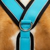 Reflective Y Shaped Dog Harness Ideal for Lebreles: Italian Greyhound