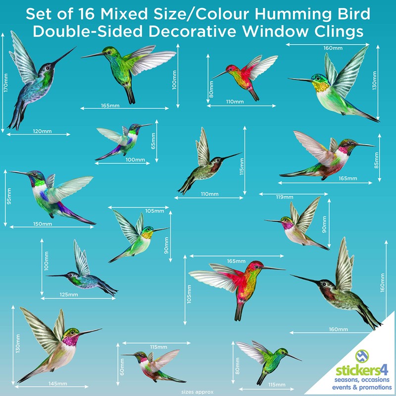 Stickers4 Hummingbird Parent Germany