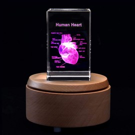 3D Human Heart with Labels Anatomical Model Paperweight(Laser Etched) in Crystal Glass Cube Science Gift (Included LED Base)