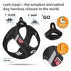 Vest Harness curli Clasp Cord Black L