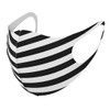 igsticker 009057 Design Mask, Set of 2, Polyester, Washable, Cloth