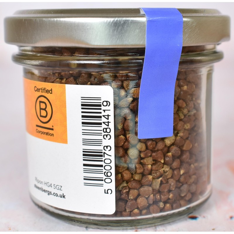 Steenbergs Grains Of Paradise Spice Standard Jar - 60g