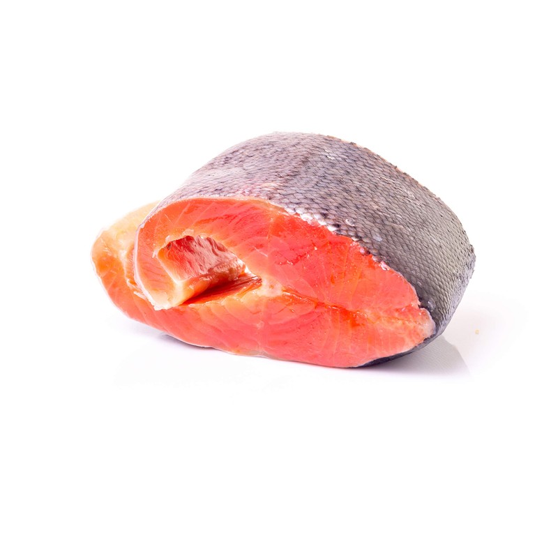 PLATO Thinkers Singles Salmon .63oz, Natural