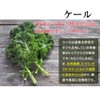 Kyushu vegetables and soup (0.1 oz (3 g) x 80