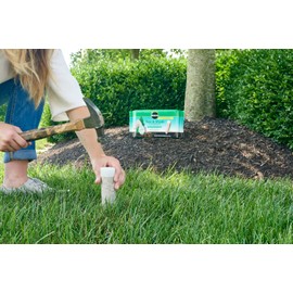 Miracle-Gro Miracle-Gro Tree & Shrub Plant Food Spikes, 12 Spikes (2-Pack)