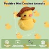 INSYOHO Crochet Kit for Beginners - Positive Mini Crochet Animals